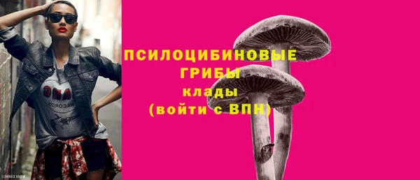 2c-b Алексин