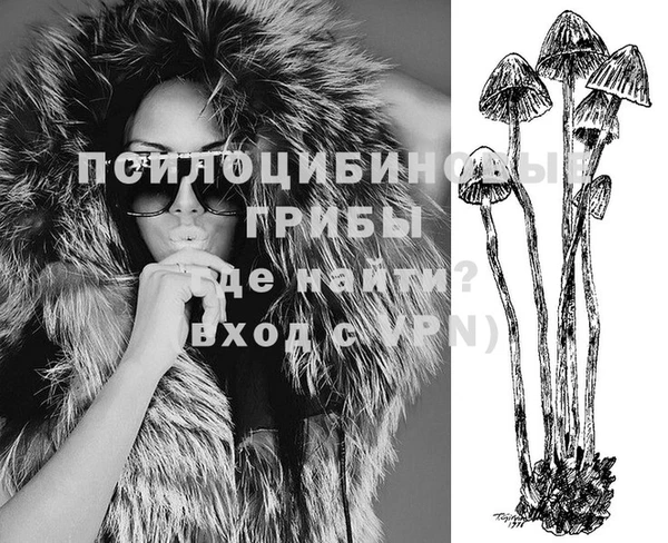 гидропоника Киренск